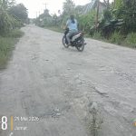 JALAN DESA PANGKALAN KONGSI DUSUN MUARA DUNGUN PULUHAN TAHUN HANYA DITIMBUN TANAH KONG